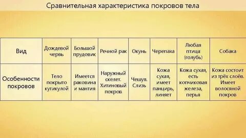 Систематическое положение строение покровов тела таблица