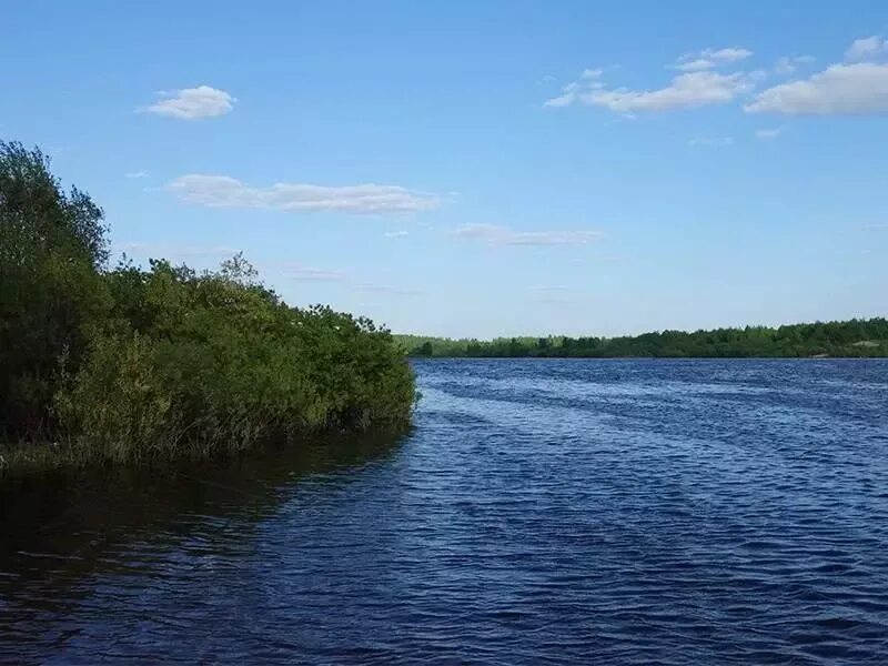 Воронья земля