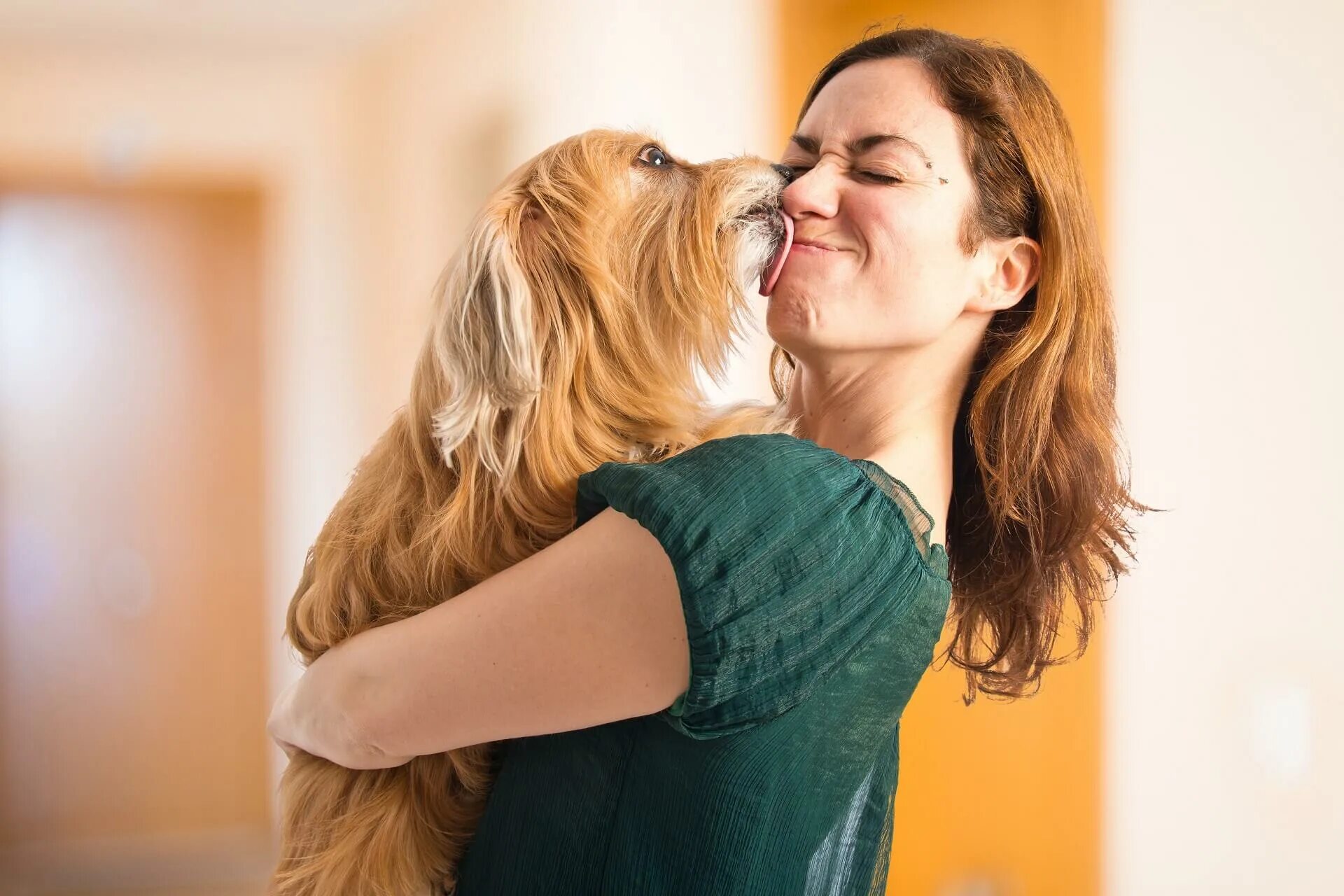 Women was a dog. Собака целует. Поцелуй с собакой. Девушка обнимает собаку. Девочка целует собаку.