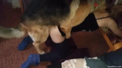 Speedy sex session with a good-looking zoophile gal.