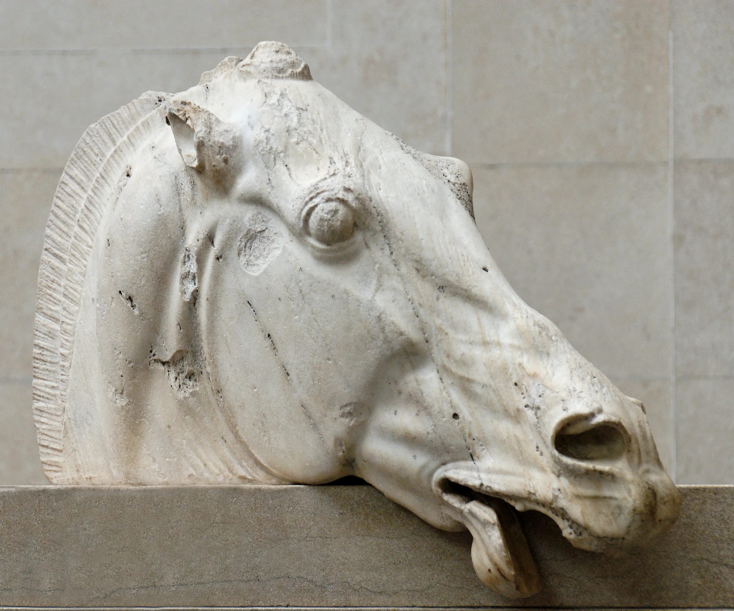 Греческий конь. Голова коня Парфенон британский музей. Скульптуры Парфенона в британском музее. Фронтон Парфенона в британском музее. Фронтон голова лошади Парфенон.
