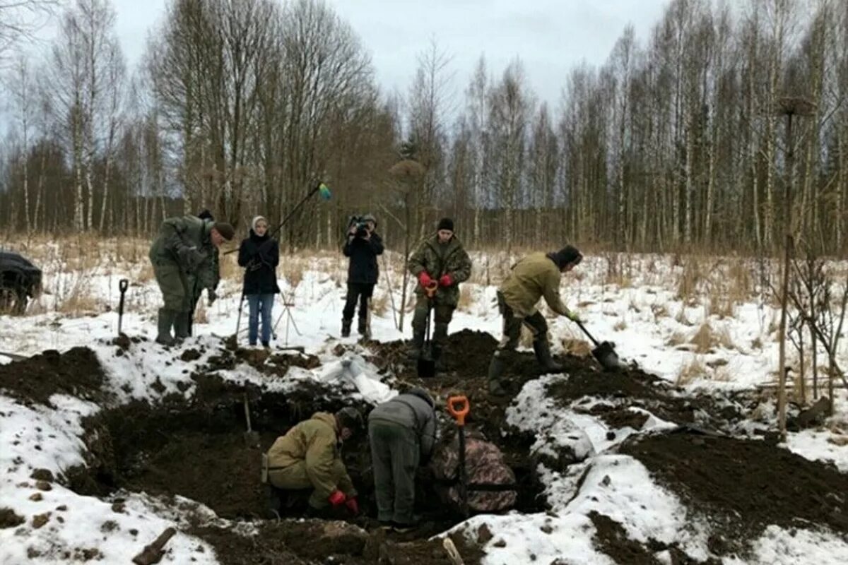 Ржев болота. Поисковый отряд Тверская обл.Зубцовский район. Останки бойцов Ржевского района Тверской области-. Поисковый отряд Тверская область.