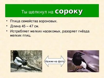 В размере сорока или сорок тысяч