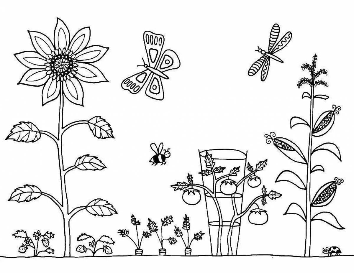 Раскраска. В огороде. Растения. Раскраска. Растения раскраска для детей. Растения сада раскраска. Plant coloring