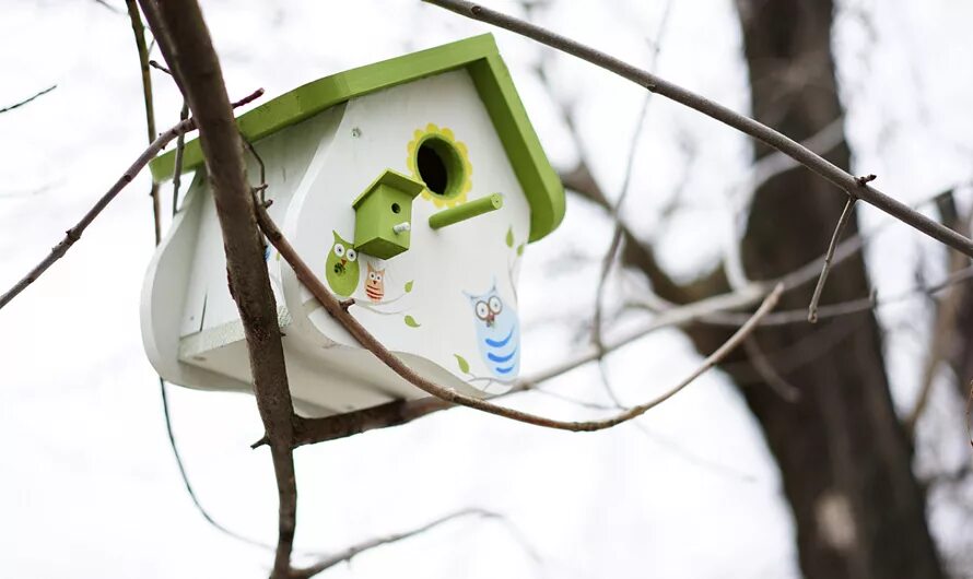 Скворечник день птиц в детском саду. Скворечник на дереве. Презентация скворечник. Скворечник "птичий домик". Скворечник.