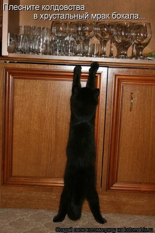 рубальская плесните колдовства. напрасные слова книга. текст песни колокольчик мой хрустальный. стихотворение рубальской. плесните колдовства в хрустальный мрак.