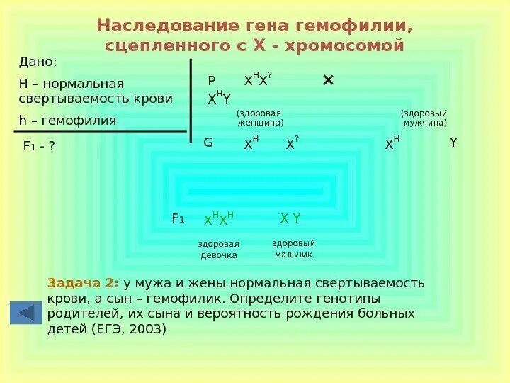 Задачи на сцепленное наследование. Гемофилия генетика задачи. Задачи на сцепленные гены. Сцепленное с полом наследование задачи с решениями.