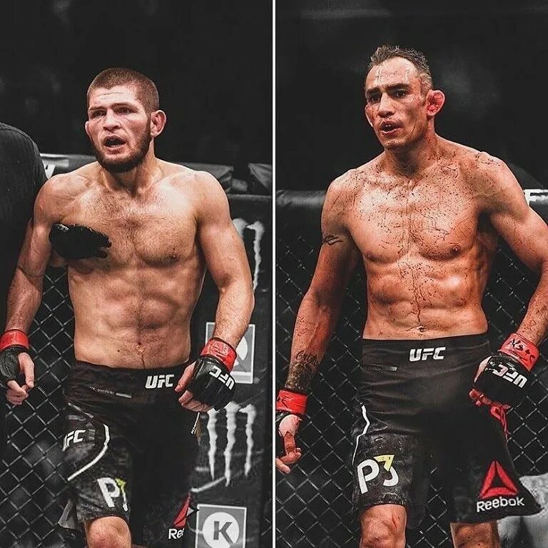 Тони фергюсон. Нурмагомедов vs фергюсон. Бой нурмагомедов тони фергюсон. Хабиб vs фергюсон. Хабиб фергюсон бой.