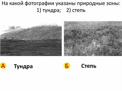Солнце над горизонтом 22 июня