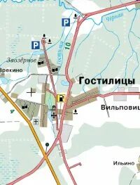 Кедр гостилицы