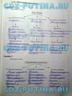 Биология 7 класс рабочая тетрадь кучменко