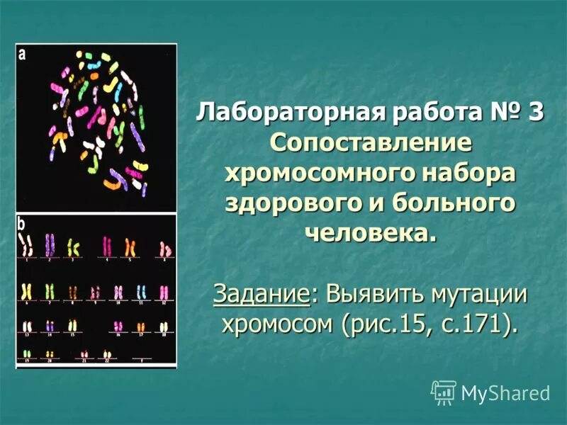 Мутация в гетерозиготном состоянии. Мутационная изменчивость примеры. Мутация v617f в гене jak2 что это. Мутация клеток. Мутации в соматических клетках.