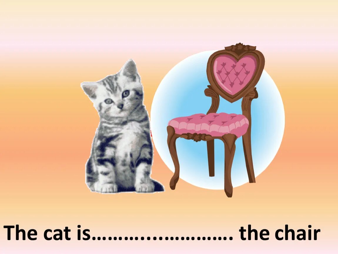 Is there a cat in the house. The cat is the armchair. the cat is chair. the cat is on the chair. стул и кошка предлоги.