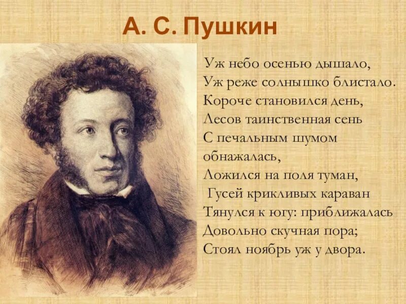 Кратчайший стал