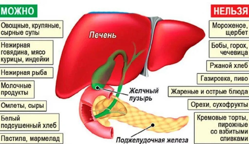 Болезни желчного пузыря у мужчин