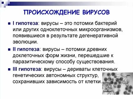Вирусы биология теория