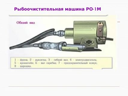 Что является рабочим органом рыбоочистительной машины