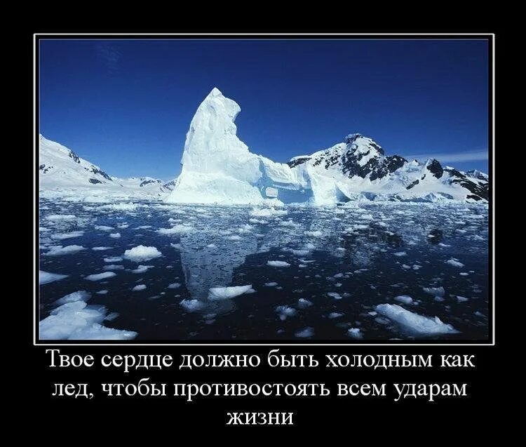 Цитаты про холод. Ледяное сердце цитаты. афоризмы про лед. цитаты про лед. статус про лед.