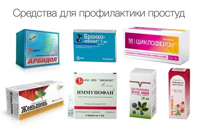 Что пропить чтобы не заболеть