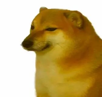 Dog me tonight