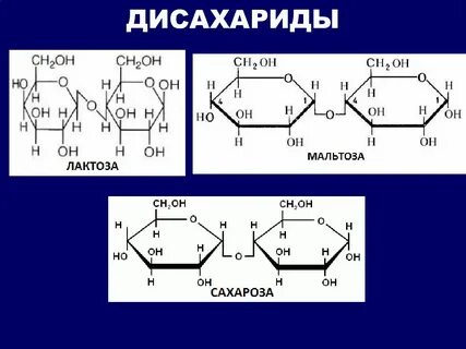 Лактоза что