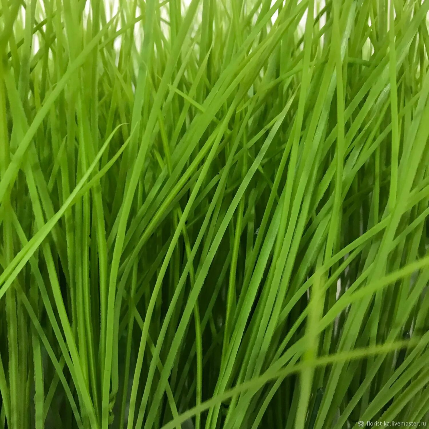 Трава для декора. Искусственная трава премиум. Искусственная зелень трава. Интерьерная трава.