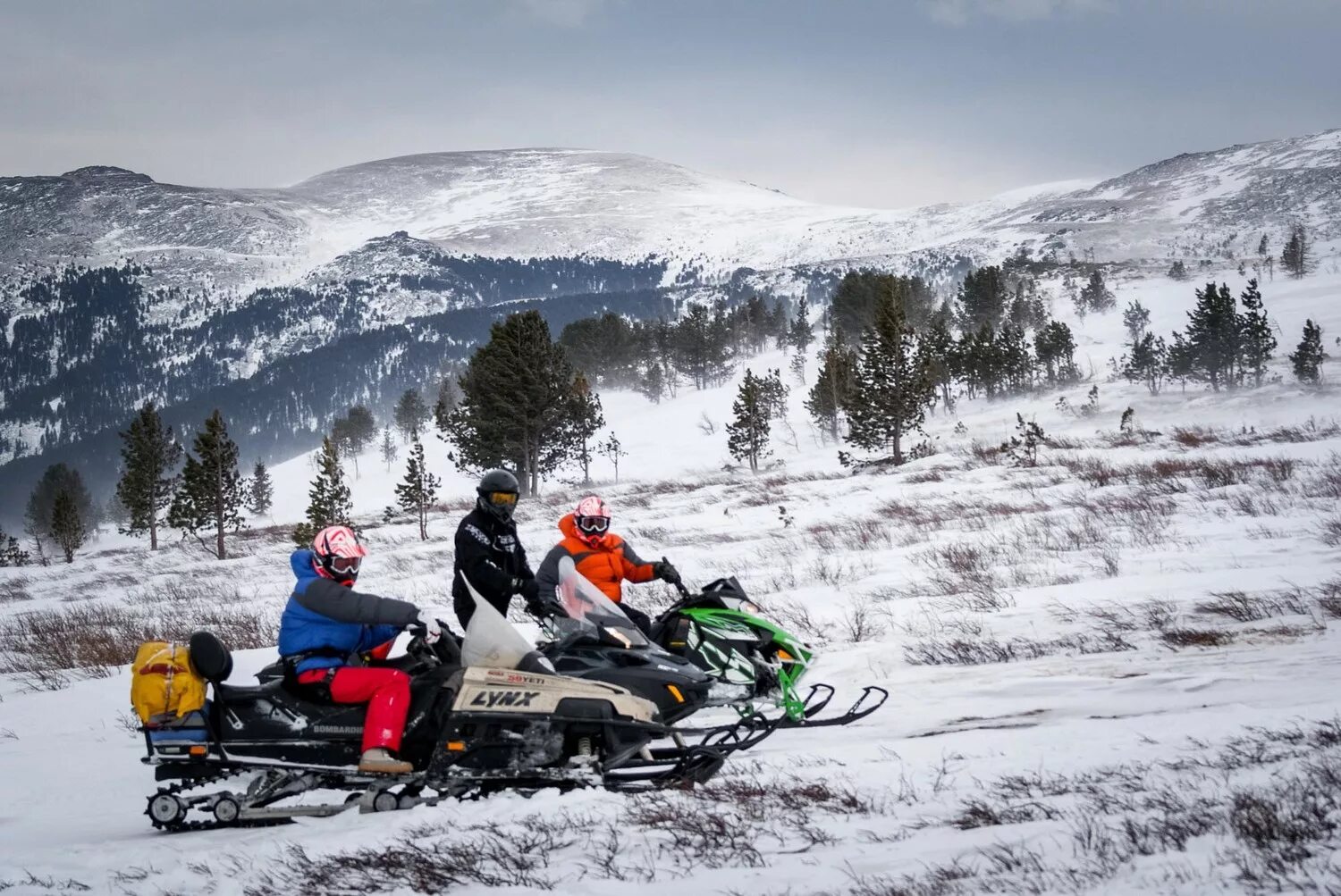 Snowmobile ru снегоходный. Снегоходное сафари Алтай. Каракольские озера снегоходный тур. Снегоходы на Телецком озере. Алтай снегоходы Каракольские озера зимой.