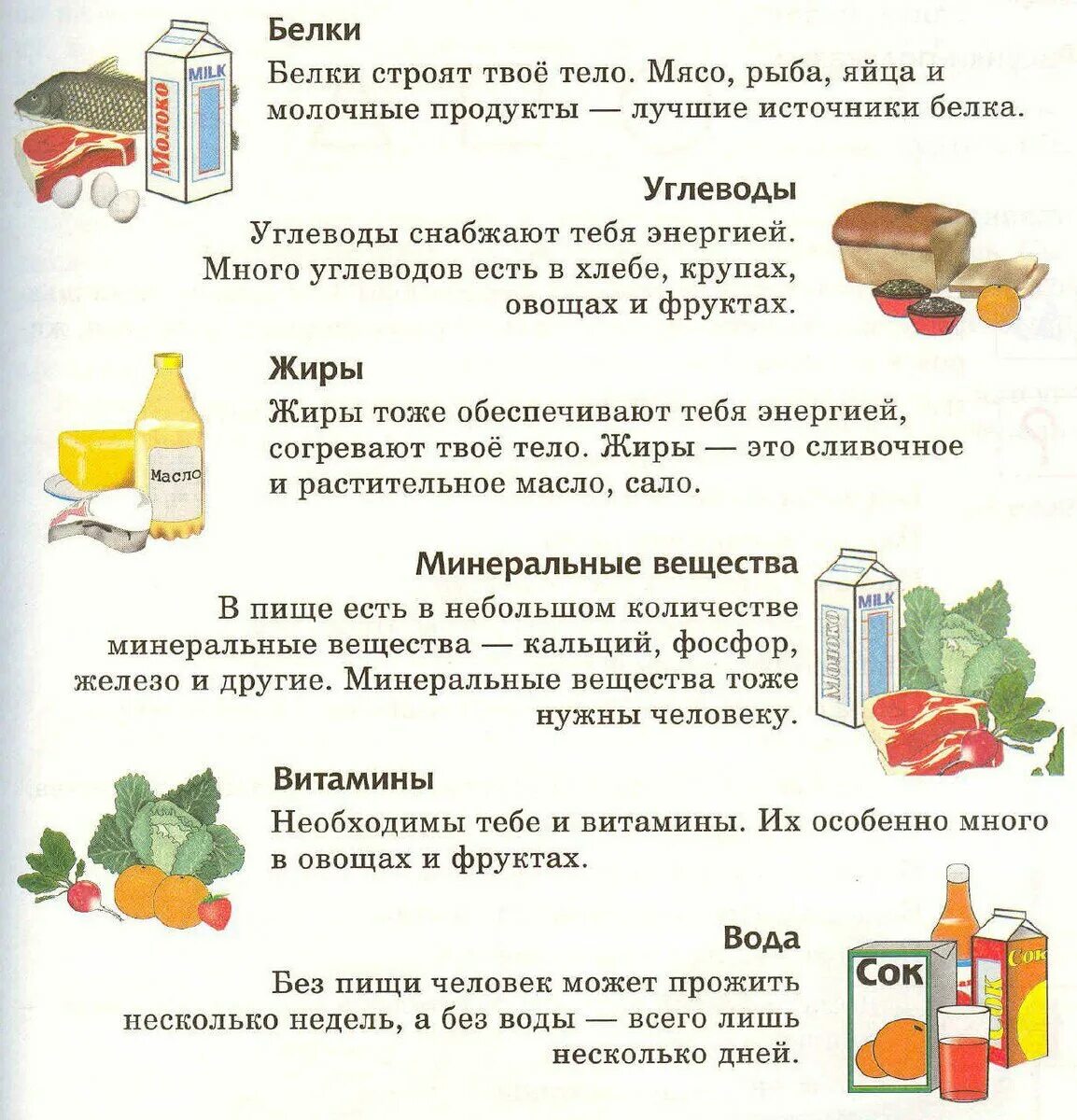 Проведи исследование какие продукты животноводства ты используешь. Где содержатся белки жиры и углеводы. памятка правильное питание белки жиры углеводы. полезные продукты белки жиры углеводы. задания по правильному питанию.