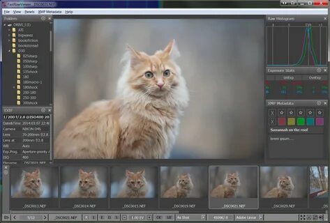 Raw viewer