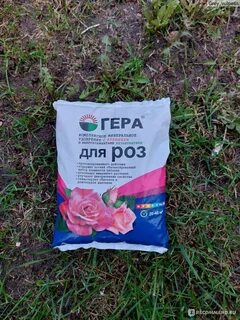 Подкормка летом