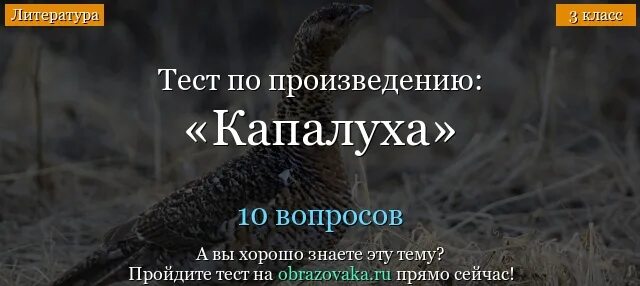 Астафьев тест Капалуха. Вопросы по рассказу Капалуха. 3 Класс тест по рассказу Капалуха. Капалуха Астафьев. Тест по капалухе 3 класс с ответами