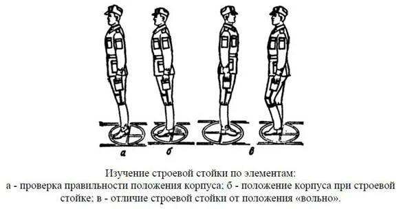 2 элементы строя. Изучение строевой стойки по элементам. строй и его элементы строевая стойка. элементы строя: строй? строевая стойка: вольно. строевая стойка и повороты на месте.