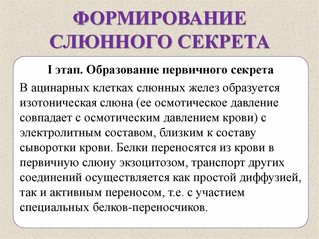 Формирование слюны. Формирование слюнного секрета. Этапы образования слюны. Схема формирование слюны. Формирование первичной слюны.