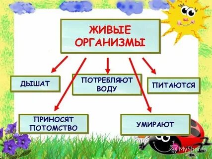 Уроки живого слова