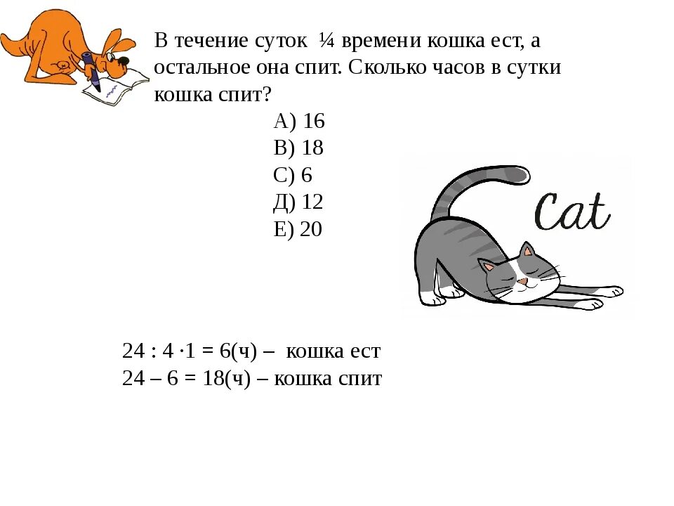 Сколько спят котята в 2. Сколько спят кошки. Сколько спят кошки часов в сутки. Сколько нужно спать кошке в сутки.