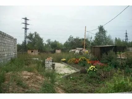 Снт спутник московская область