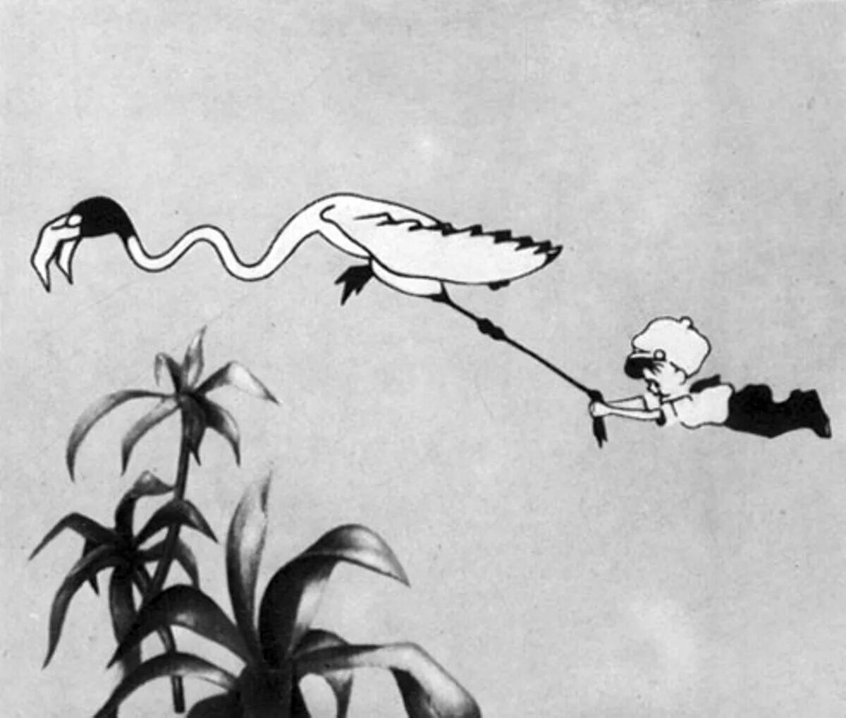 Сенька африканец 1927. Сенька африканец 1927. Сенька африканец. Мистер сенька. Сенька африканец.