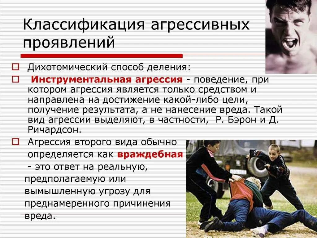 Как проявляется жестокость по отношению к природе