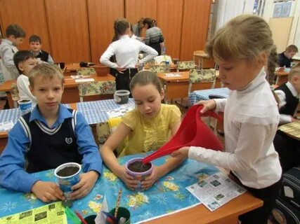 Занятия в школах озерска