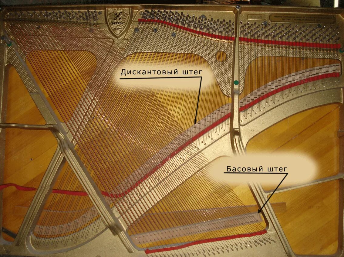 Дискантовый Штег пианино. Басовый Штег. Строение рояля. Внутренности рояля.