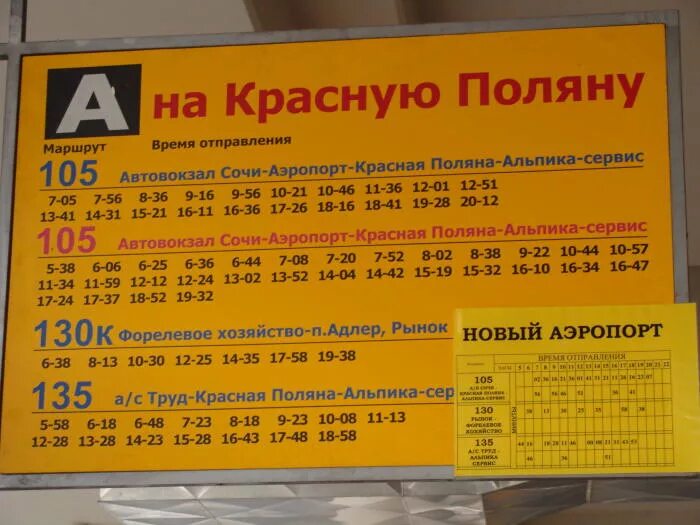 Жд вокзал адлер сколько до аэропорта. Аэропорт Адлер автобусы. Автобус Адлер аэропорт ж д вокзал. Автобус аэропорт Сочи ЖД вокзал Адлер. Автобус Сочи вокзал аэропорт Адлер.