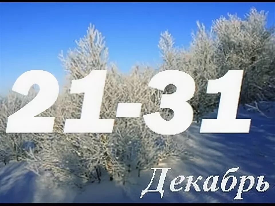 Декабрь 2015. Сердитые 2015 декабрь. 2 декабря 2015 год