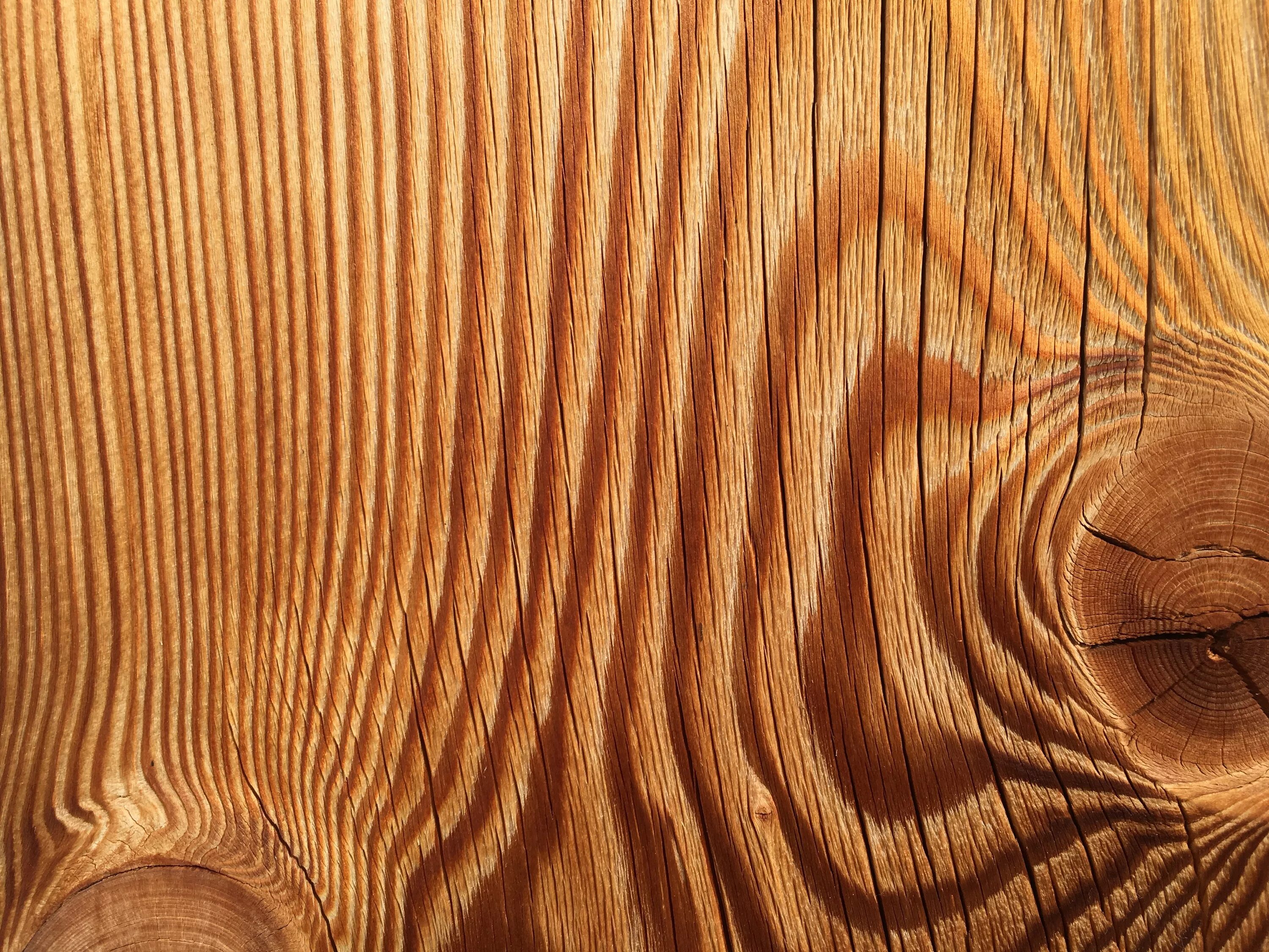 Масляная поверхность. Браун Вуд (Brown Wood). Текстура дерева. Фактура дерева. Срез дерева.