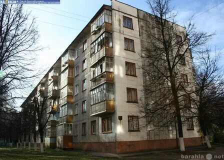 Зеленый 20 2