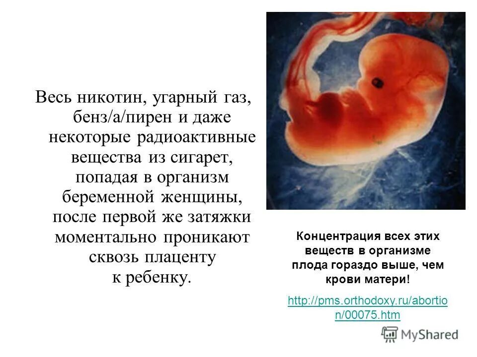 Толуол и угарный газ. Первый европейский курильщик. Никотин угарный газ. Состав табачного дыма. Угарный газ в табачном дыме.