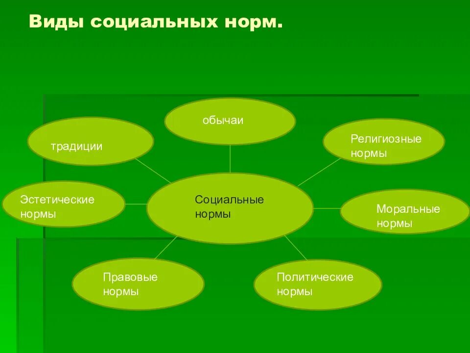 Правовые нормы религиозные нормы моральные нормы эстетические нормы. Виды норм обычаи моральные нормы. Виды социальных норм картинки. Особая разновидность социальных норм
