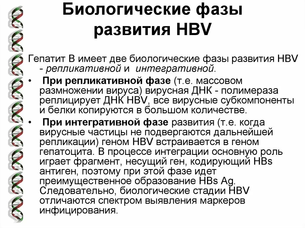 Фазы гепатита в. Репликативная фаза гепатита с что это такое. репликативная и интегративная фазы гепатита. фазы вирусного гепатита.