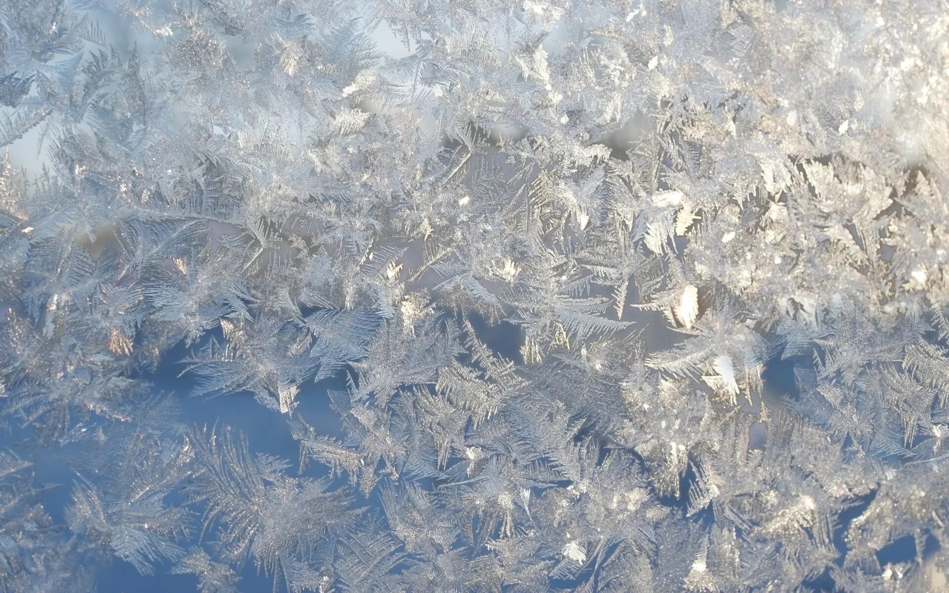 Эффект заморозки. Морозные узоры на стекле. Мороз на окне. Лед на окне. Снег текстура.