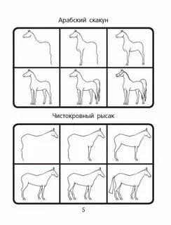 Инструкции коне