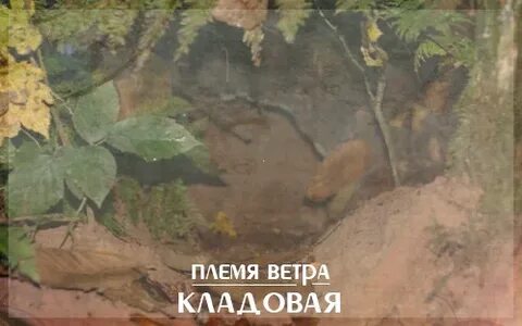 Кладовая привет